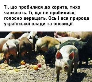 �������� ��� ����������