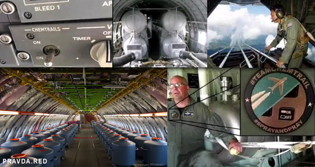 ճ�������