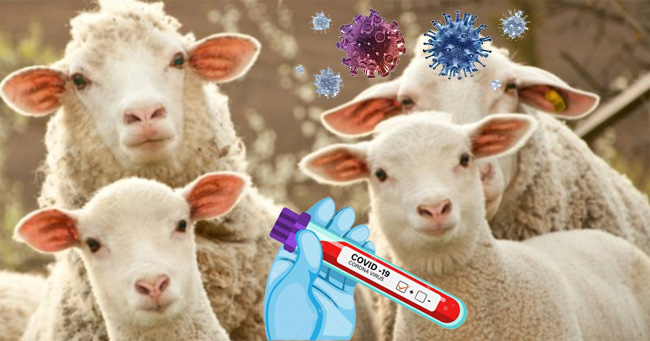 ���-����� - ��������� ����� �� ��������� �����